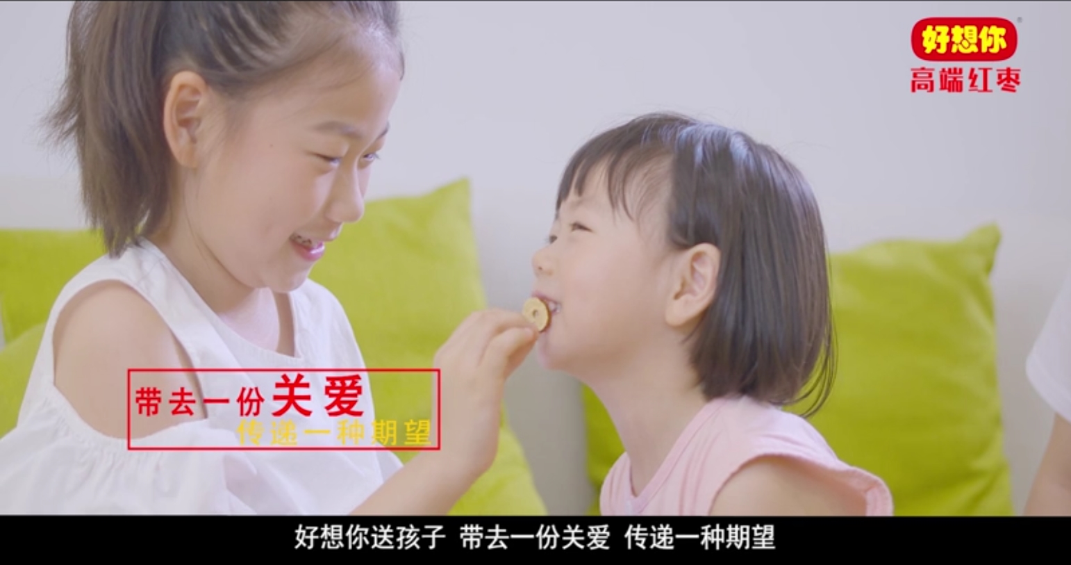 高端红枣好想你